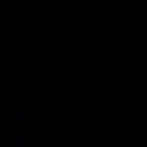 Meet your Posher, Diego